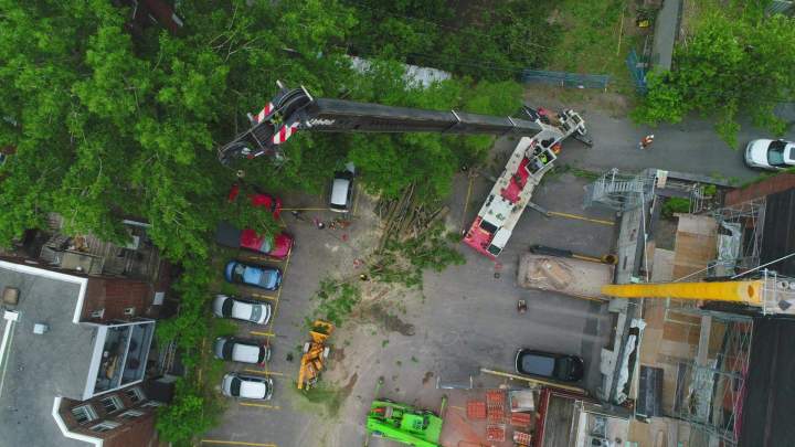 Coupe d’arbre Montréal