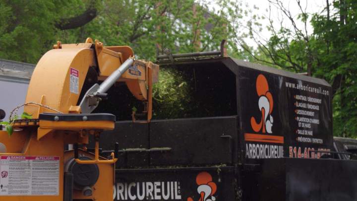 Services d'élagage, d'abattage Montréal