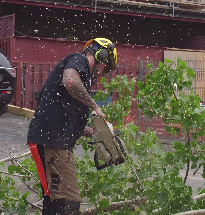 émondage professionnel Montréal