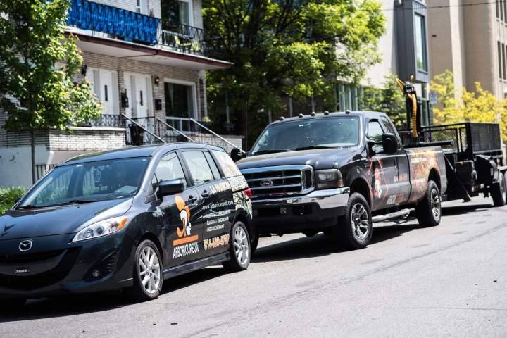 Entreprise d'abattage Montréal