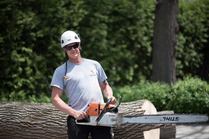 Service élagage arbre Montréal
