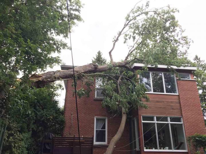 Déboiser un terrain Montréal