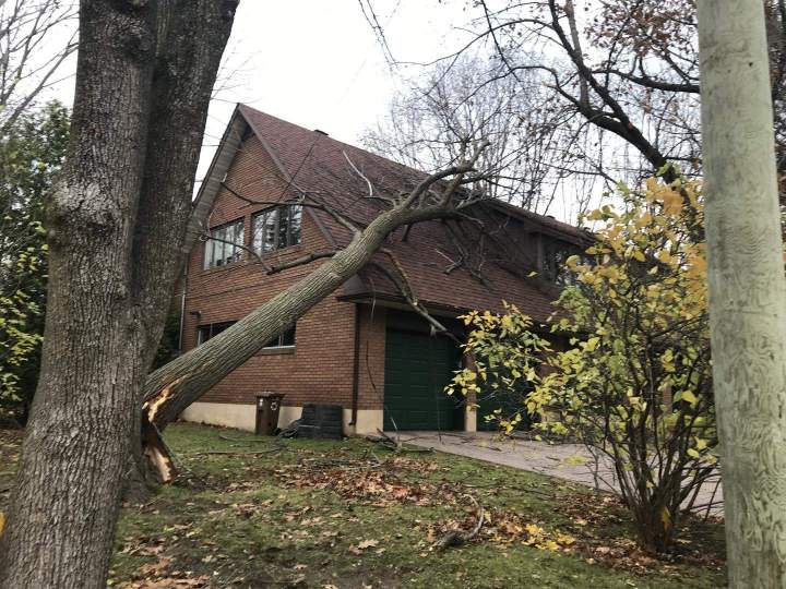Urgence élagage Montréal